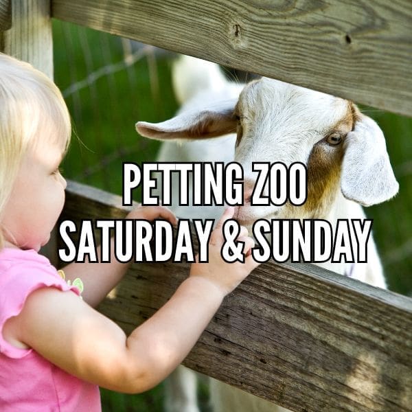 Copy of Copy of Copy of Copy of Pink Inspirational Instagram Quote (2)