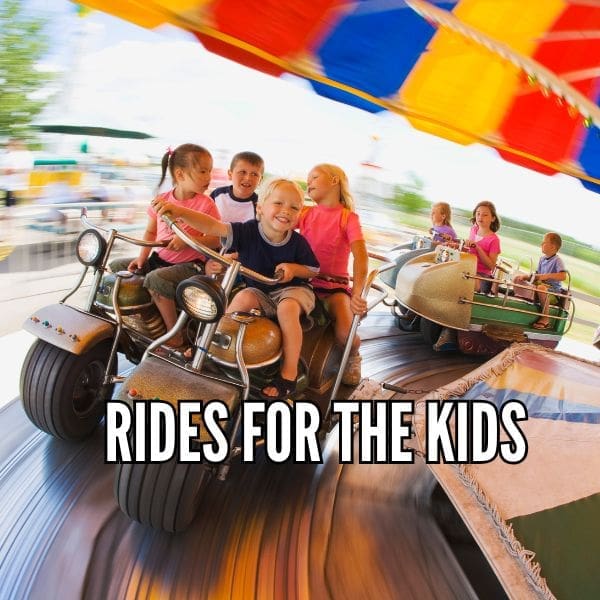 Copy of Copy of Copy of Copy of Pink Inspirational Instagram Quote (4)