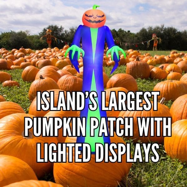 Copy of Copy of Copy of Copy of Pink Inspirational Instagram Quote (7)